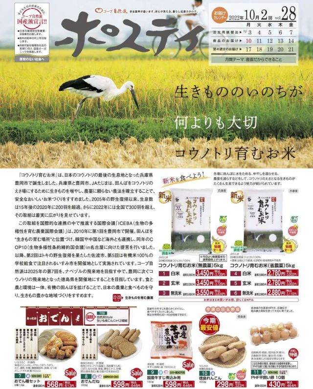 🌾＼#生きもののいのちが何より大切 #コウノトリ育むお米／🍚

『コウノトリ育むお米』は、日本のコウノトリの最後の生息地となった兵庫県豊岡市で誕生しました。兵庫県と豊岡市、JAたじまは、田んぼをコウノトリのえさ場にするために生きものを増やし、#農薬に頼らない農法 を確立することで、安全なおいしいお米づくりをすすめました。2005年の野生復帰以来、生息数は15年後の2020年に200羽を超過。さらに2022年には全国で300羽を超え、その取組は着実に広がりを見せています。

この取組を国際的な連携の中で推進する国際会議「#ICEBA(#生物の多様性を育む農業国際会議)」は、2010年に第1回を豊岡市で開催。田んぼを“#生きもの育む場所”と位置づけ、韓国や中国など海外とも連携し、同年の#COP10(#生物多様性条約締約国会議)in名古屋に向けた提言を行いました。

以降、第2回はトキの野生復帰を果たした佐渡市、第5回は有機米100％の学校給食で注目されるいすみ市を開催地として実施されています。コープ自然派は2025年の第7回を、ナベヅルの飛来地を目指す中で、豊岡に次ぐコウノトリの飛来地となった徳島県を開催地にすることを目指しています。#食と農と環境は一体。有機の田んぼを拡げることで、日本の農業と食べものを守り、生きもの豊かな地域づくりをすすめます。

#ポスティ 28号 #生活協同組合 #コープ自然派 #コープ自然派兵庫 #コープ自然派のあるくらし #宅配