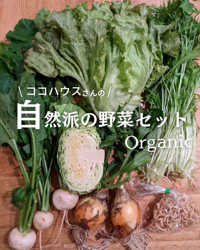 🍅＼自然派の野菜セット ／

「有機野菜を日常に 」
神戸市西区・明石市で年に約43種類の有機野菜を作る、#ココハウス さんの有機野菜セット。

新たまの根っこ、太い！立派！
しっかり根を張っているのが分かります。
フィトケミカルがたくさん、スープのだしとして煮込みます。

有機野菜を日常に
いただきます☆

−−−−−−−−−−−−−−−−−−−−−−−−−−−−−−−−−−−−

コープ自然派兵庫
組合員理事より発信中✈
選ぶもので社会は変わる
選ぶことで未来を変えよう
@coop.shizenha.hyogo

−−−−−−−−−−−−−−−−−−−−−−−−−−−−−−−−−−−−

#自然派の野菜セット
#野菜セット
#地産地消 
#生産者さんに感謝 
#オーガニックな暮らし
 #無農薬 #遺伝子組み換えでない  #自然を守る #国産オーガニック #ネオニコフリー#生協 #コープ自然派 #コープ自然派兵庫 #コープ自然派のあるくらし #生協宅配