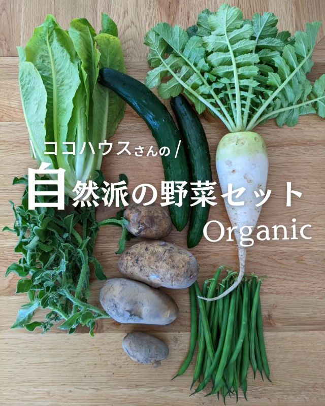 🍅＼自然派の野菜セット ／

「有機野菜を日常に 」
神戸市西区・明石市で年に約43種類の有機野菜を作る、#ココハウス さんの有機野菜セット。

・有機大根
・有機いんげん豆
・有機じゃがいも
・有機キュウリ
・有機アイスプラント
・有機レタス

今、畑にある旬のおすすめ野菜を一袋に詰めた「野菜セット」。
「自然派の野菜セット」はコープ自然派の各生協から近い生産者の野菜が届きます。
兵庫では“ココハウス”さんのオーガニック野菜をお届けしますよ♪

−−−−−−−−−−−−−−−−−−−−−−−−−−−−−−−−−−−−

コープ自然派兵庫
組合員理事より発信中✈
選ぶもので社会は変わる
選ぶことで未来を変えよう
@coop.shizenha.hyogo

−−−−−−−−−−−−−−−−−−−−−−−−−−−−−−−−−−−−

#自然派の野菜セット
#野菜セット
#地産地消
#生産者さんに感謝
#オーガニック野菜
#オーガニックな暮らし #無農薬 #遺伝子組み換えでない  #自然を守る #国産オーガニック #ネオニコフリー#生協 #コープ自然派 #コープ自然派兵庫 #コープ自然派のあるくらし #生協宅配