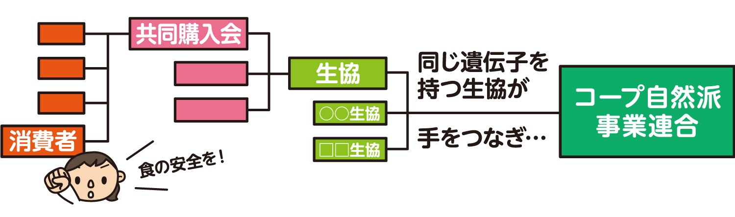 コープ自然派の成り立ち