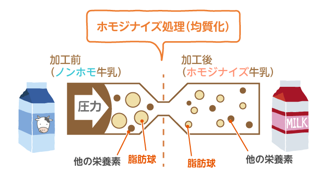 ホモジナイズ処理（均質化）