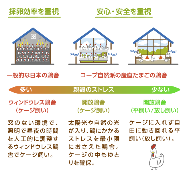 ウィンドウレス鶏（ケージ飼い）・開放鶏舎（ケージ飼い）・開放鶏舎（平飼い/放し飼い）の比較