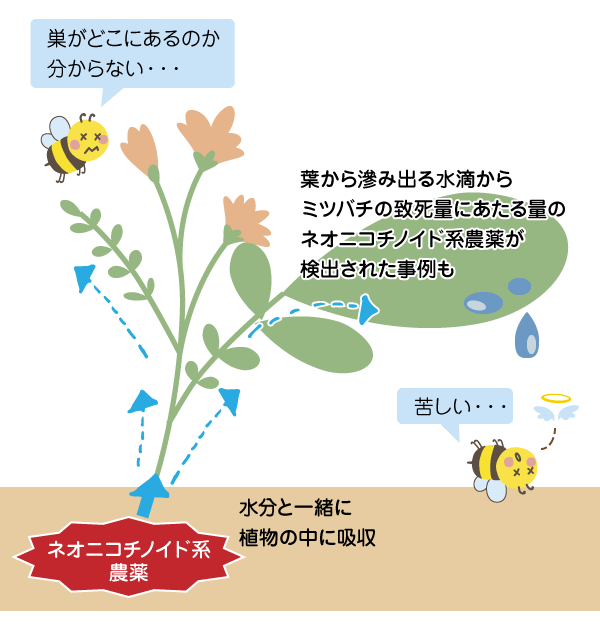 ネオニコチノイド系農薬の影響