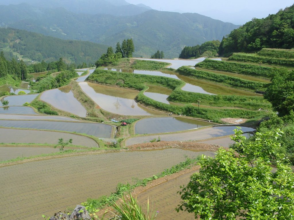 棚田・田植えの頃