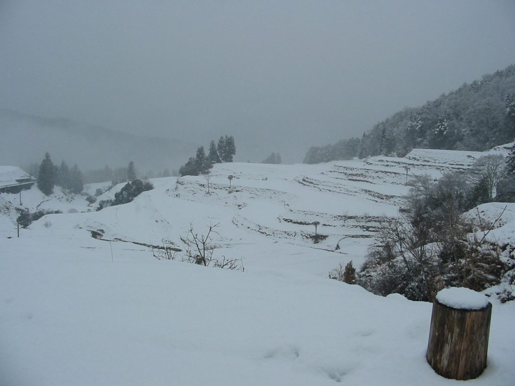 棚田・雪が積もった棚田