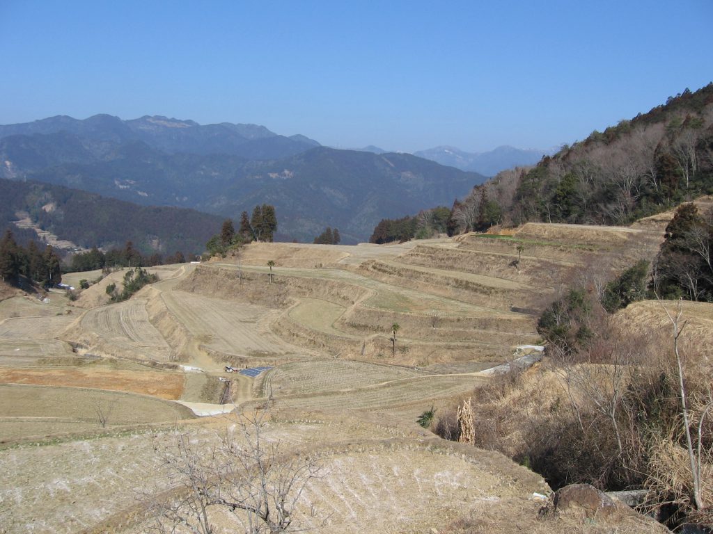 棚田・雪解け