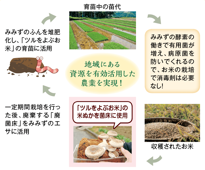 「ツルをよぶお米」を中心とした地域循環型農業