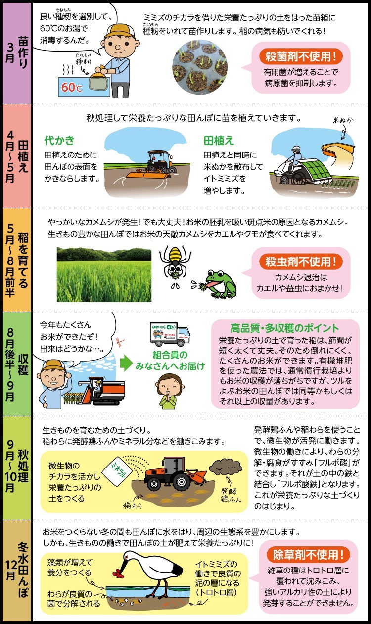 「ツルをよぶお米」無農薬米の1年