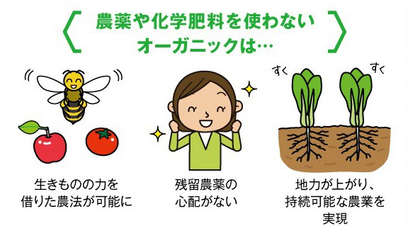 農薬や化学肥料を使わないオーガニック