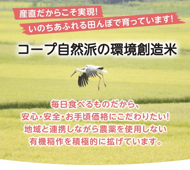 コープ自然派の環境創造米。毎日食べるものだから、安心・安全・お手頃価格にこだわっています。また、地域と連携しながら有機稲作を行っています。