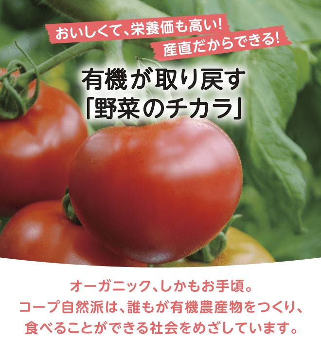 おいしくて、栄養価も高い！産直だからできる！有機が取り戻す「野菜のチカラ」