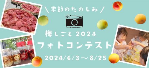 ＜受付終了＞梅しごと2024　フォトコンテスト開催！
