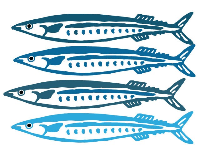 4月5回鮮魚BOX